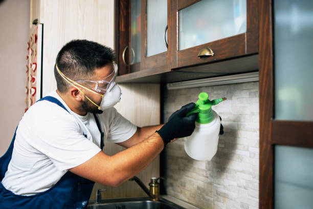 Best Commercial Pest Control Services  in Taft Southwest, TX