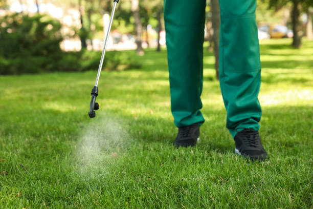 Best Rat Extermination Near Me  in Taft Southwest, TX